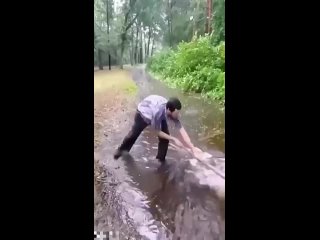 ay krasava, the rest would have touched the path nearby
